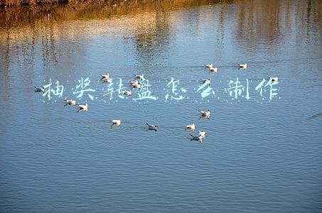抽奖转盘怎么制作