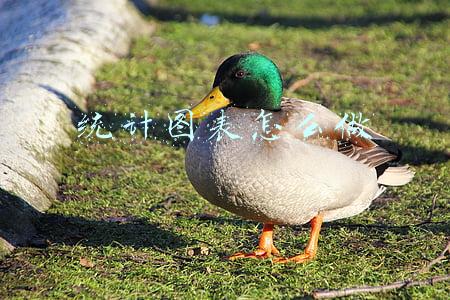 统计图表怎么做