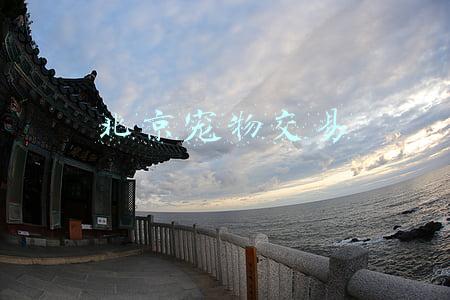 北京宠物交易