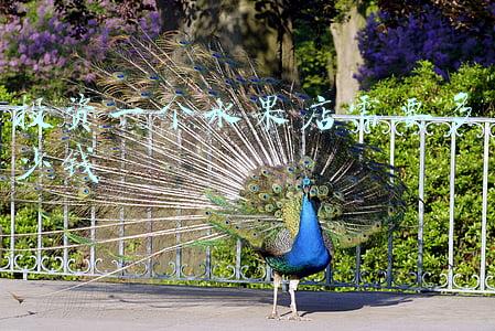 我想开一个30平米的水果店，请问要投资多少钱，要做哪些准备工作？：投资个水果店大概需要多少钱