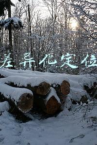 差异化定位
