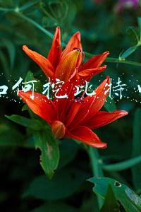 如何挖比特币