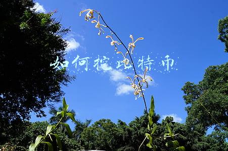 如何挖比特币