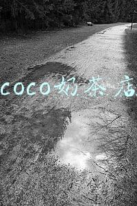 coco奶茶店