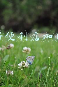 可好便利店加盟(听说青岛这家便利店逛起来上瘾，看看网友怎么说？)