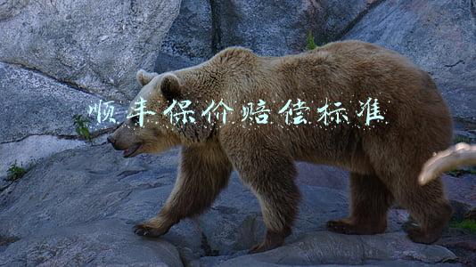 顺丰保价赔偿标准