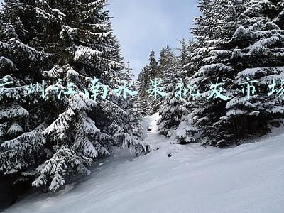 广州江南水果批发市场