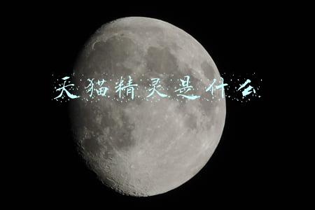 天猫精灵是什么