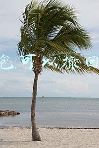 红包可以撤回吗