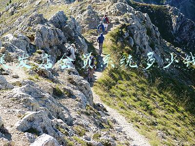 美容美发会员卡-美容美发会员卡有什么好处