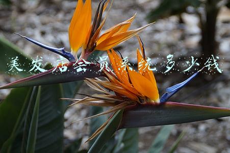 美发会员卡(美发店的会员卡怎么办？)