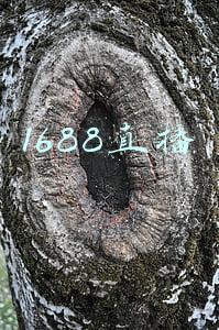 1688直播