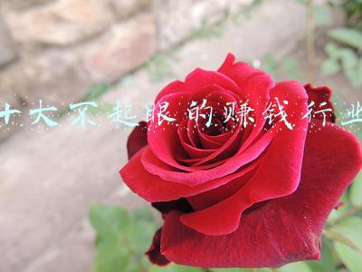 十大不起眼的赚钱行业