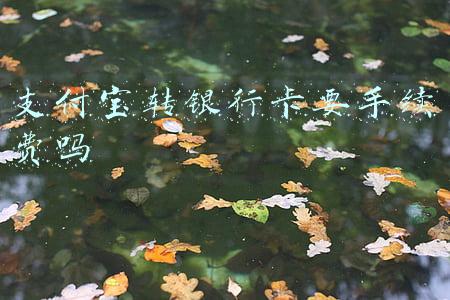 支付宝转银行卡要手续费吗