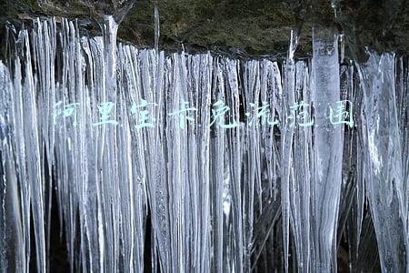 阿里宝卡免流范围抖音(阿里宝卡宣布抖音、西瓜视频正式免流)