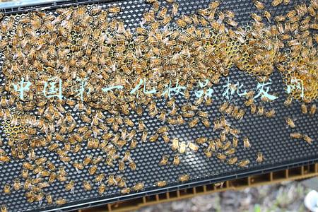 中国第一化妆品批发网