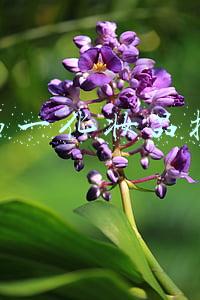 中国第一化妆品批发网