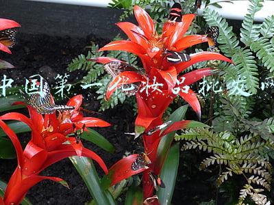 中国第一化妆品批发网