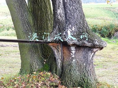 澳门入境最新(澳门收紧入境措施！经珠澳口岸赴澳须持24小时核酸阴性证明)