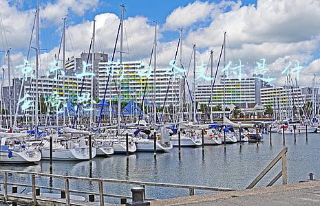 京东白条支付有风险吗(“白条”黑产追踪：京东账号遭大量泄露，黑市价高至每个千元)