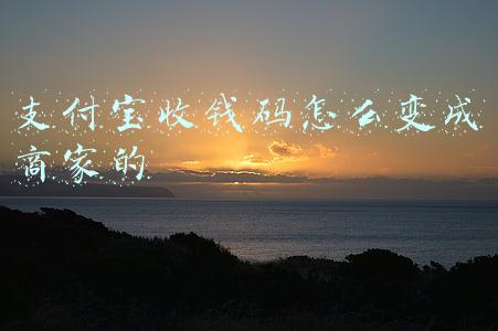 支付宝收钱码怎么申请(支付宝收钱怎样免费领取码 商家收款二维码怎么弄)