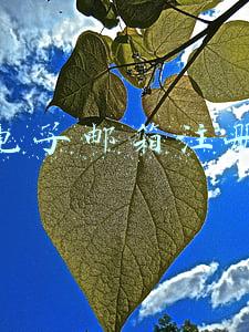 申请个人电子邮箱(临时邮箱如何申请注册，申请临时邮箱后有什么好处？)