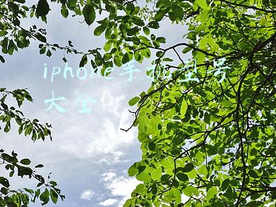 iphone手机型号大全