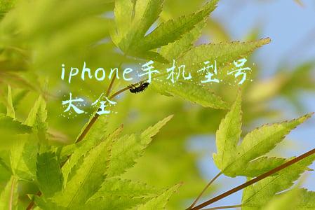 iphone手机型号大全