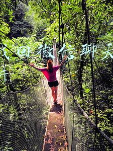 怎么找回微信聊天记录和图片