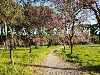 转让店铺需要注意什么