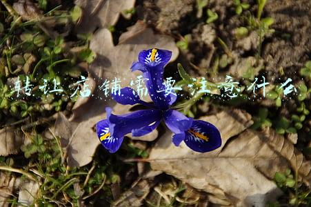 转让店铺需要注意什么手续(店铺转让细节多，必须注意这几个事项！大湾网房产频道和你一起看)