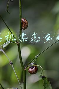 改签机票怎么收费