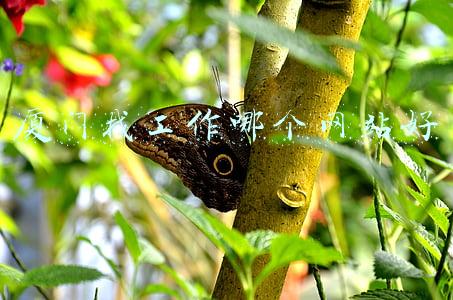 厦门找工作哪个网站好