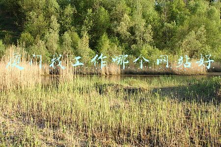 厦门找工作哪个网站好