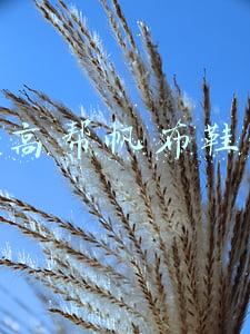 匡威高帮帆布鞋穿法