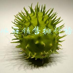 海尔冰箱销售排行榜(海尔智家Leader冰箱值得年轻人买吗？国庆增幅55%)