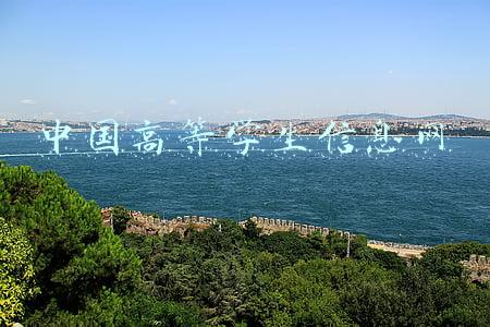 中国高等学生信息网