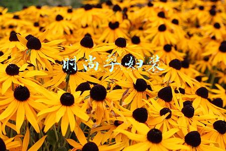 时尚孕妇装
