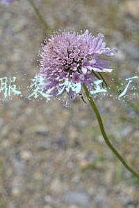 服装加工厂