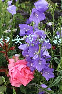 三八妇女节礼品推荐