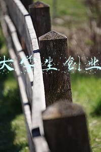 在校大学生创业案例