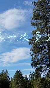 汗蒸一次多少钱