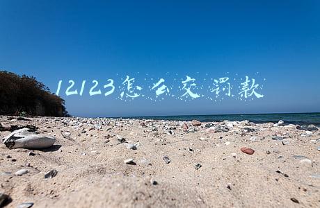 12123怎么交罚款