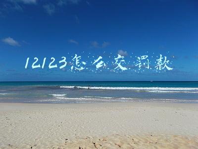 12123交电动车罚款(电动车罚单微信上缴费可以吗？微信怎么交电动车违章罚款)