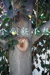 50个创新小想法