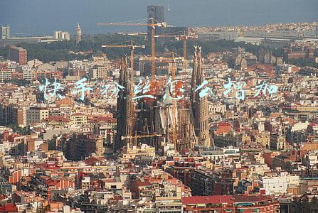 快手粉丝怎么增加快(快手如何快速涨粉丝)