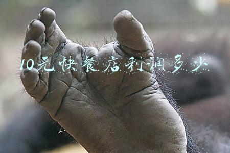 10元快餐店利润多少