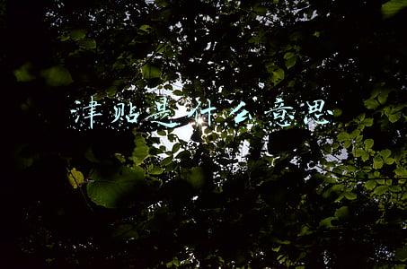 津贴是什么意思