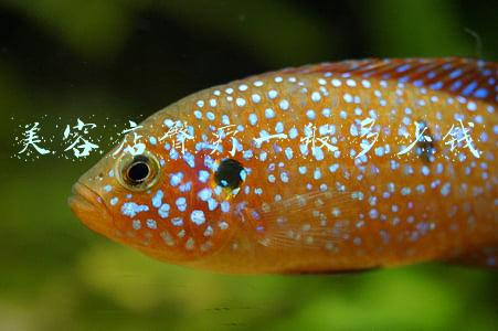 臀疗多少钱一套-什么是臀疗