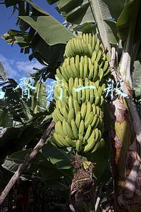 精油做臀部保养真的好吗：美容店的臀疗有用吗